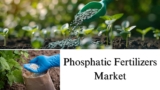 Phosphatic Fertilizers Market Size, Share, Trends: Growth and Forecast to 2032