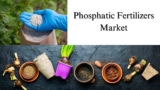 Phosphatic Fertilizers Market Size, Share, Trends and Growth Report Through 2032