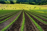 How Satellite-based Hyperspectral Imaging is Advancing Agriculture