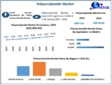 Polyacrylamide Market Size, Policy Impacts, and Future Trends 2024 to 2030