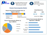 Polymer Nanocomposites Market Segments by Region, Growth, Sales and Revenues of Manufacturers Forecast till 2030