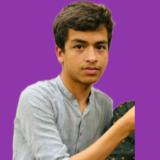 Vikas Leemani: The Musical Maestro