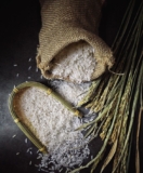 Traditional Indian Rice Meets Modern Nutrition with Low GI Benefits