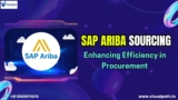 The Best SAP Ariba Online Training Institute in Hyderabad | Visualpath