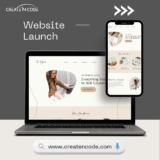 Why is there such a wide range of website development price in India ?