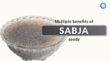 Sabja Seeds – Benefits and Its Side Effects