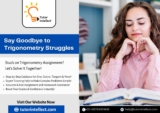Unlock Trigonometry Success – Get Assignment Support Now!