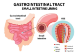 Emerging Treatments in Gastrointestinal Disorders