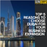 Top 5 Reasons to Choose Dubai for Your Business Expansion