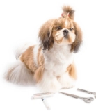 The Importance of Dog Grooming in Mumbai