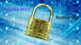 Secure Your Token Supply: Revoke Mint Authority with Solhub