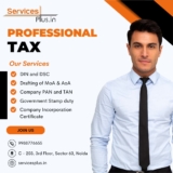 Everything You Need to Know About Professional Tax : A Comprehensive Guide