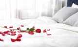 Shimla Tour Package From Delhi For couple