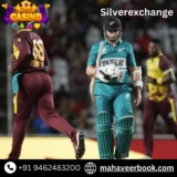 Use Silver Exchange ID to Play Online Betting with Mahaveerbook