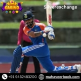Mahaveerbook: Best Silver Exchange ID for Online Betting