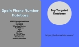 Bulk Email Data: Provide you with high-quality Spanish phone number database