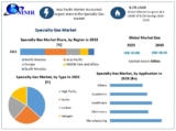 Specialty Gas Market Size Outlook, Forecast 2024-2030