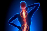The Ultimate Guide to Spine Health: Expert Advice from Spine Specialist in Jaipur