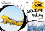 Understanding Spirit Airlines Seat Selection