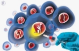 The Future of Healing: A Deep Dive into the Stem Cell Therapy Market