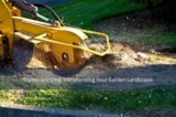 Stump Grinding: Transforming Your Garden Landscape