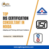 From Application to Approval: The Comprehensive Role of a BIS Certification Consultant.