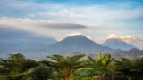 The Best Time to Visit Rwanda for a Safari Holiday