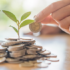 What are IFRS standards, and why are they important?