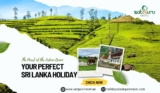 The Pearl of the Indian Ocean – Your Perfect Sri Lanka Holiday Package from Dubai with Satguru Travel