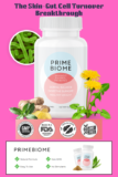 Introducing PrimeBiome – The Skin-Gut Cell Turnover Breakthrough!