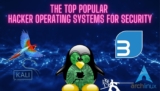 Top Popular Hacker Operating Systems