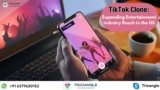 TikTok Clone: Expanding Entertainment Industry Reach in the US
