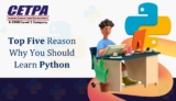 Top Five Reason Why You Should Learn Python