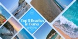 Top 8 Beaches in Bursa for an Unforgettable Day by the Sea