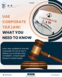 UAE Corporate Tax Law: What You Need to Know