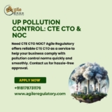 Navigating Industrial Clusters: The Importance of Collective Environmental Responsibility