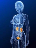 Understanding the Costs of Kidney Stone Removal in Dubai