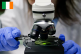 Bioanalytical Solutions in Dublin: Reliable and Efficient for Your Business Needs