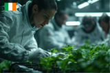 Dublin’s Leading Bioprocess Engineering Services: Innovation and Excellence in Biotech