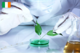 Biotechnology and Bioprocess Engineering: Dedicated to Driving Innovation