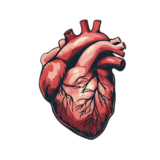 How Do You Maintain A Good Heart?