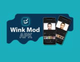 Unlock Advanced Animation Tools with Wink APK Online