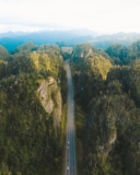 Your Go-To Solution for Effortless Video Downloading