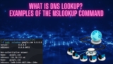 A Quick Guide to DNS Lookup and Its Importance