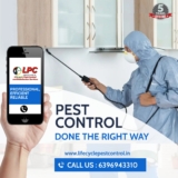 How to Control Mosquito Populations in Your Yard