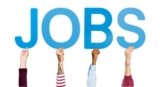 Find Your Dream Job in Startups with Salarite