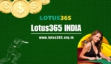 Lotus365 India: The Ultimate Betting Platform for Indian Players