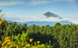 When is the best time to see gorillas in Volcanoes National Park Rwanda?