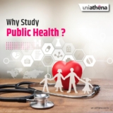 Why Study Public Health
