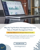 Why the Top Portfolio Management Services Rely on Wealth Management Firms